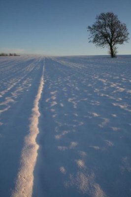 Snow in Yorkshire