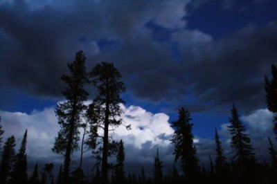 Twilight sky at Kaibab National Forest