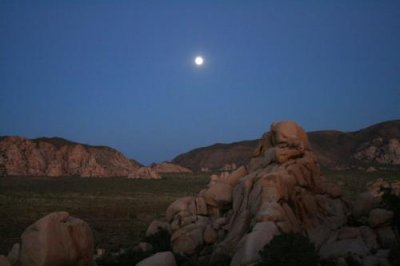 3627 Twilight Moon Joshua Tree.jpg