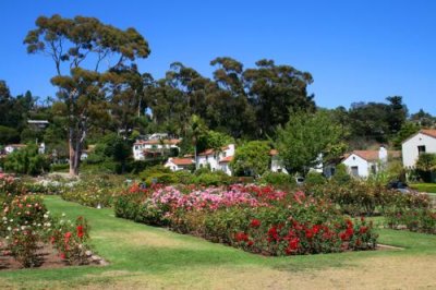 4105 Santa Barbara Rose Gardens.jpg