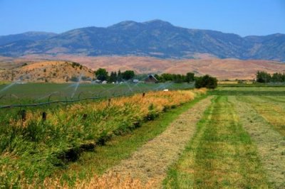 5023 Fields in Idaho.jpg