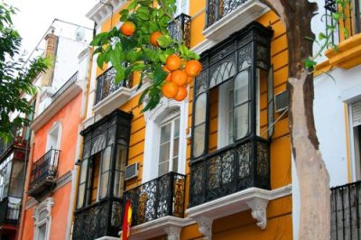 8046 Seville Architecture and Oranges.jpg
