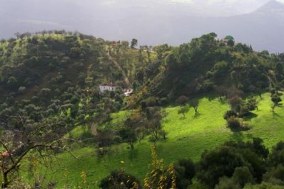 8379 Fields around Gaucin.jpg