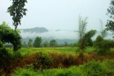 1163 Misty Northern Thailand.jpg