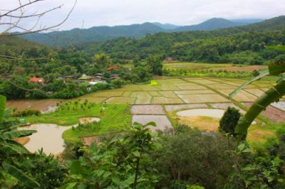 1405 Overlooking lush valley.jpg