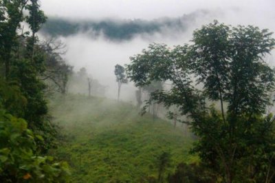 1539 Misty hills Laos.jpg