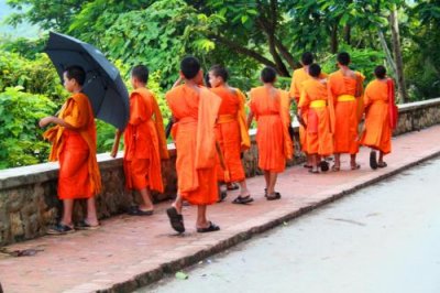 1817 Young Monks LP.jpg