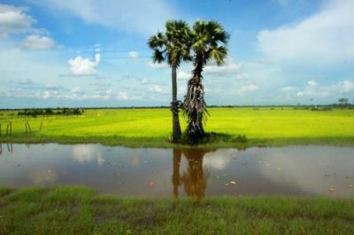 3858 Farmland mid Cambodia.jpg