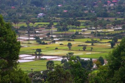 4376 Fields around Angkor.jpg