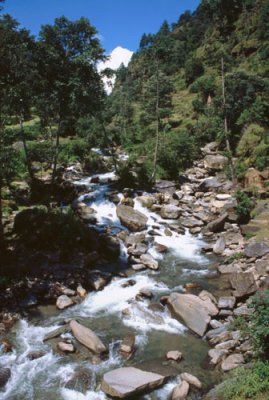 River near Shivalaya