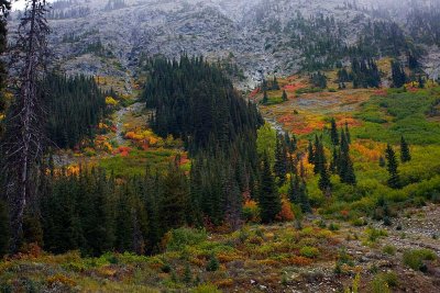 Fall colors in North Cascade Pass