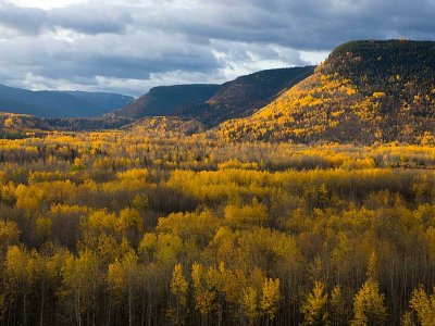 Fall colors near Dawson Creek
