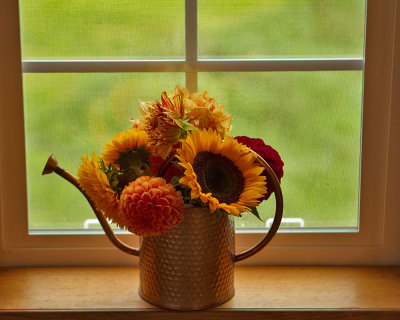 One of the flower cans in a window