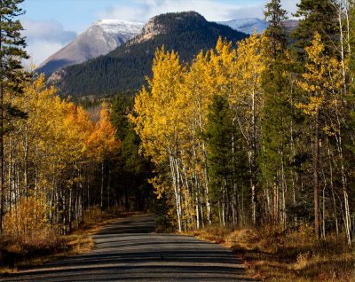 Fall colors along the Cassiar Highway