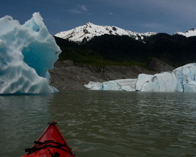 Iceberg that calved off the Mendenhall Glacier May25th and the face of the glacier to the right