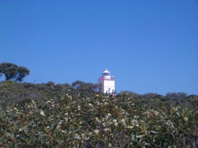 KangarooIsland_CapeBordaLighthouse9246.JPG