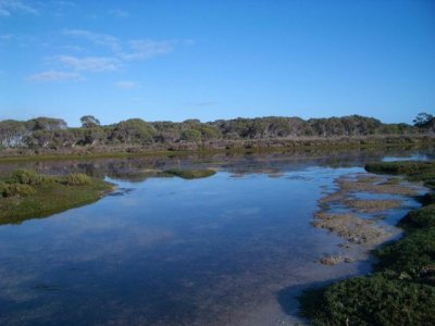 KangarooIsland_MouthOfCygnetRiver8964.JPG