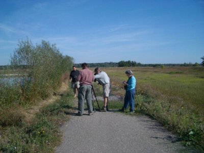 Birding at Lake Tisza