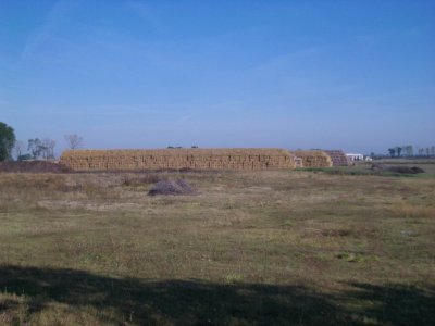 Hay.jpg