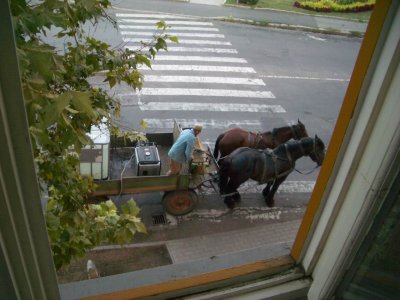 HorseAndCartWateringFlowers.jpg