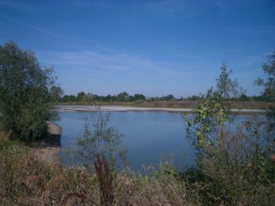 Pond.jpg