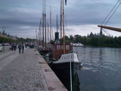 IMGP9646.JPG