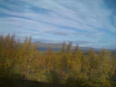 Train Trip Lulea to Narvik (Norway)