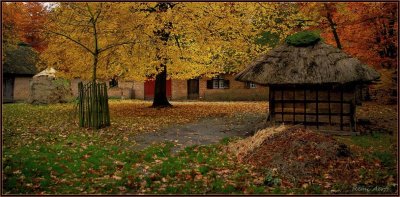 Bokrijk herfst 2010