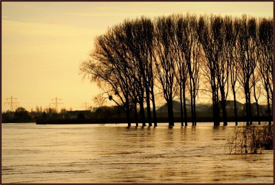 Overstroming van de Maas 2011