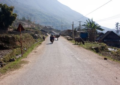 On the road to Lao Chải