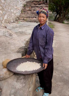 Separating Rice at Floating Village in Ninh Binh