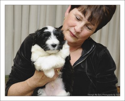 Laurel and Baileys puppy at 6 weeks