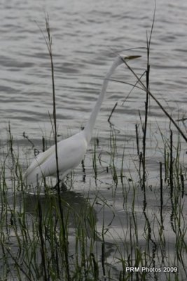 IMG_1028.JPG