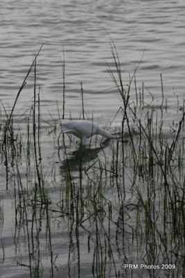 IMG_1039.JPG