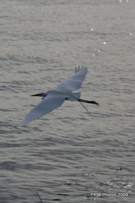 IMG_1064.JPG