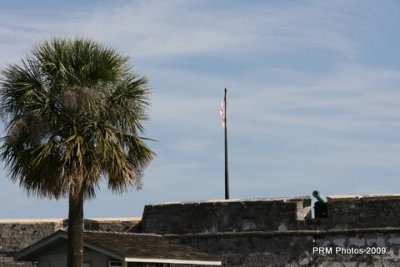 IMG_1075.JPG