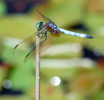 g1/84/605384/3/92929573.5oU6JfgH.jpg