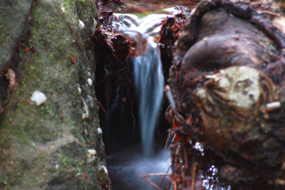 Nature Photos 2006-2008