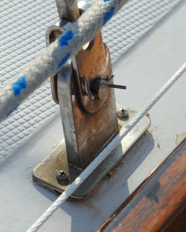 Z-8X10-RAC_9338.jpg