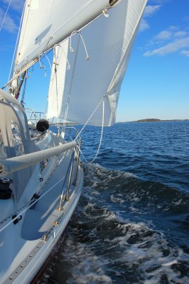 Late Fall Sailing On Cordelia
