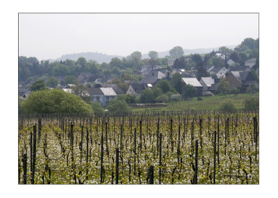 Braueberg