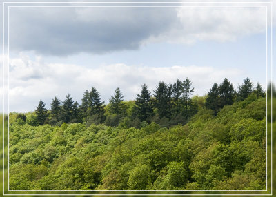 g1/84/629784/3/112613357.ptREbWyt.jpg