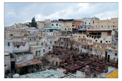 Fez, tanneries