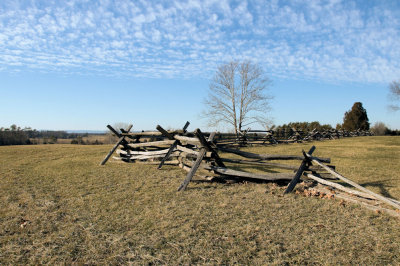 Battlefield Grounds