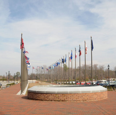 Flag Display