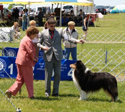 Another Photo from Junior Showmanship