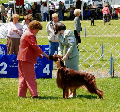 Junior Showmanship (3)