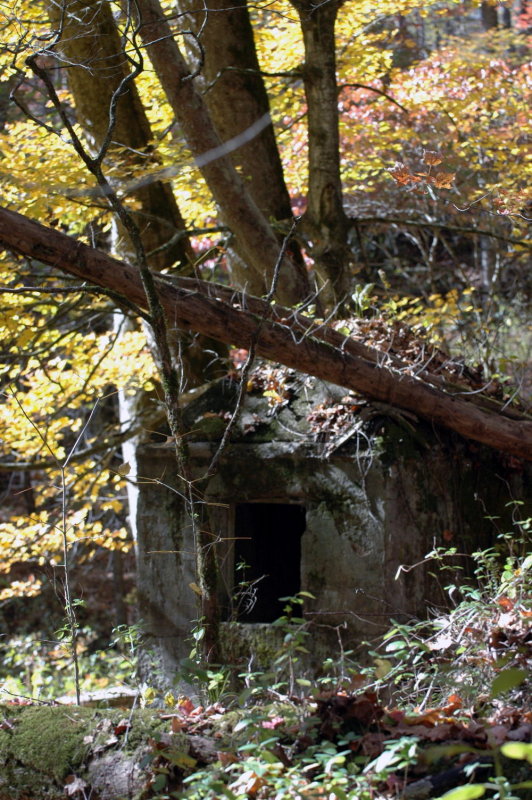 DSC_a1782_edited 2.JPG