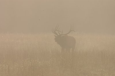 DSC_3142.jpg