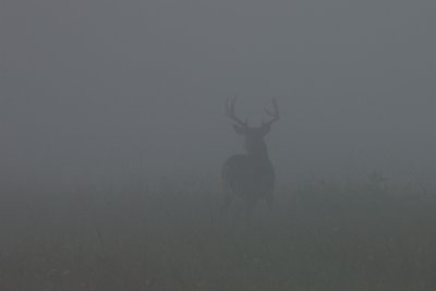 DSC_2596.jpg